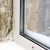 Dupont Mold Removal by United Restore LLC