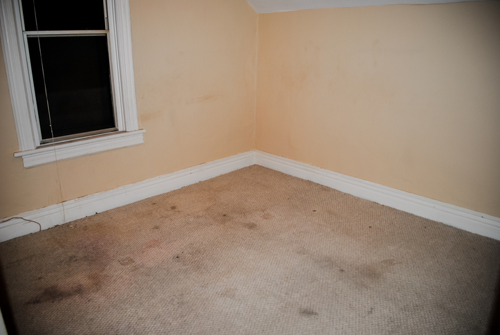 Carpet Damage Restoration by United Restore LLC
